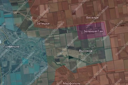 С утра сообщают о падении обороны противника в поселке Зеленый Гай к востоку от Гуляйполя