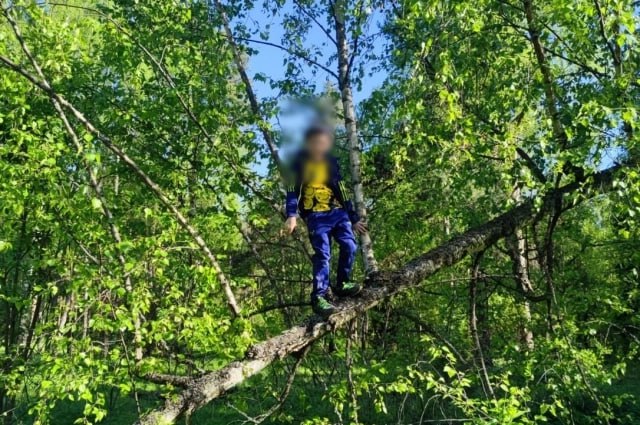 Сбежавшая жена в психлечебнице? Появились подробности о жизни Богородского маньяка Сбежавшая жена в психлечебнице? Появились подробности о жизни Богородского маньяка