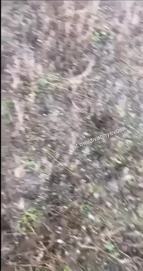  68-       &quot;&quot;