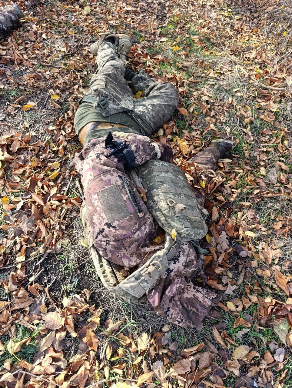 Боевики украинских формирований, попавшие под "Дальневосточный экспресс" на Южно-Днепропетровском направлении Боевики украинских формирований, попавшие под "Дальневосточный экспресс" на Южно-Днепропетровском направлении