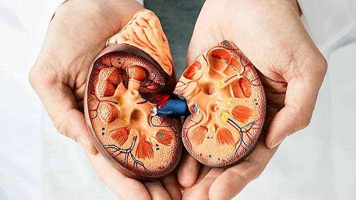 Еженедельная авторская колонка;