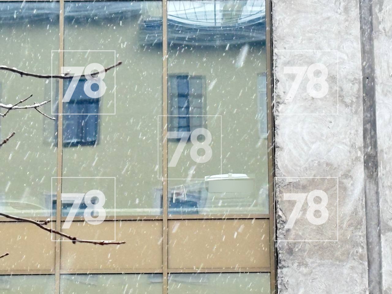 Сгоревший Rolls-Royce принадлежит компании актрисы Софьи Ская