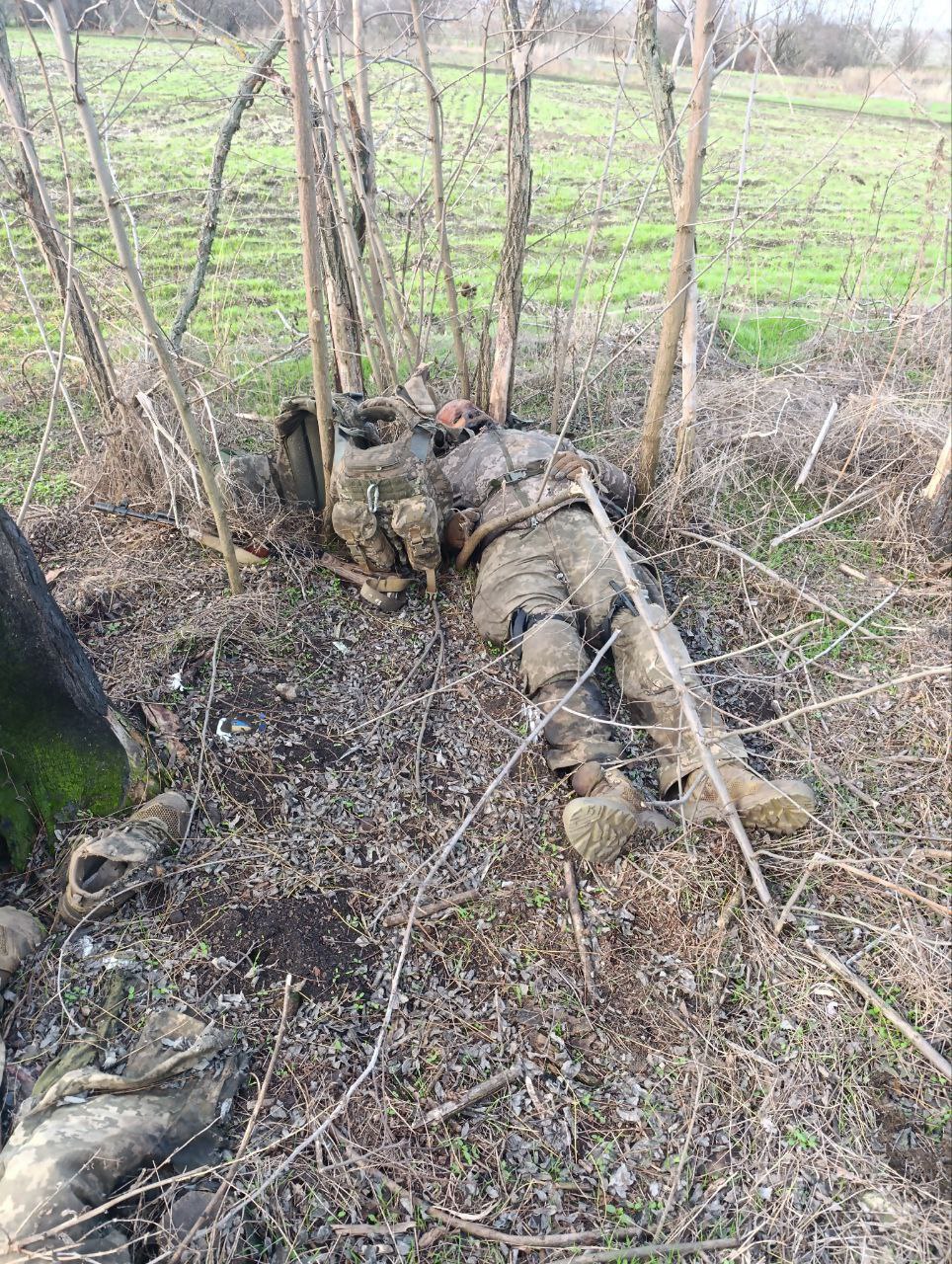 Боевики украинских формирований, попавшие под "Дальневосточный экспресс" на Южно-Днепропетровском направлении Боевики украинских формирований, попавшие под "Дальневосточный экспресс" на Южно-Днепропетровском направлении