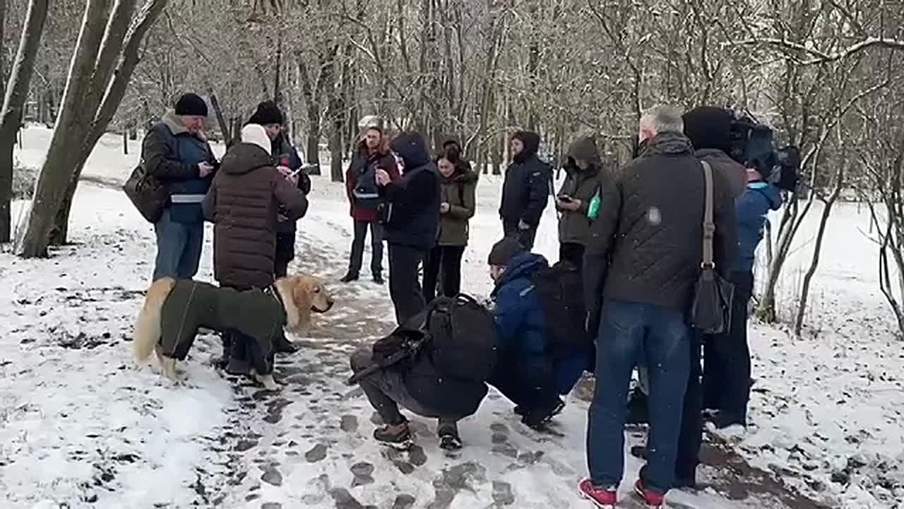 В Парке Победы прошёл рейд по выявлению нарушений правил выгула собак