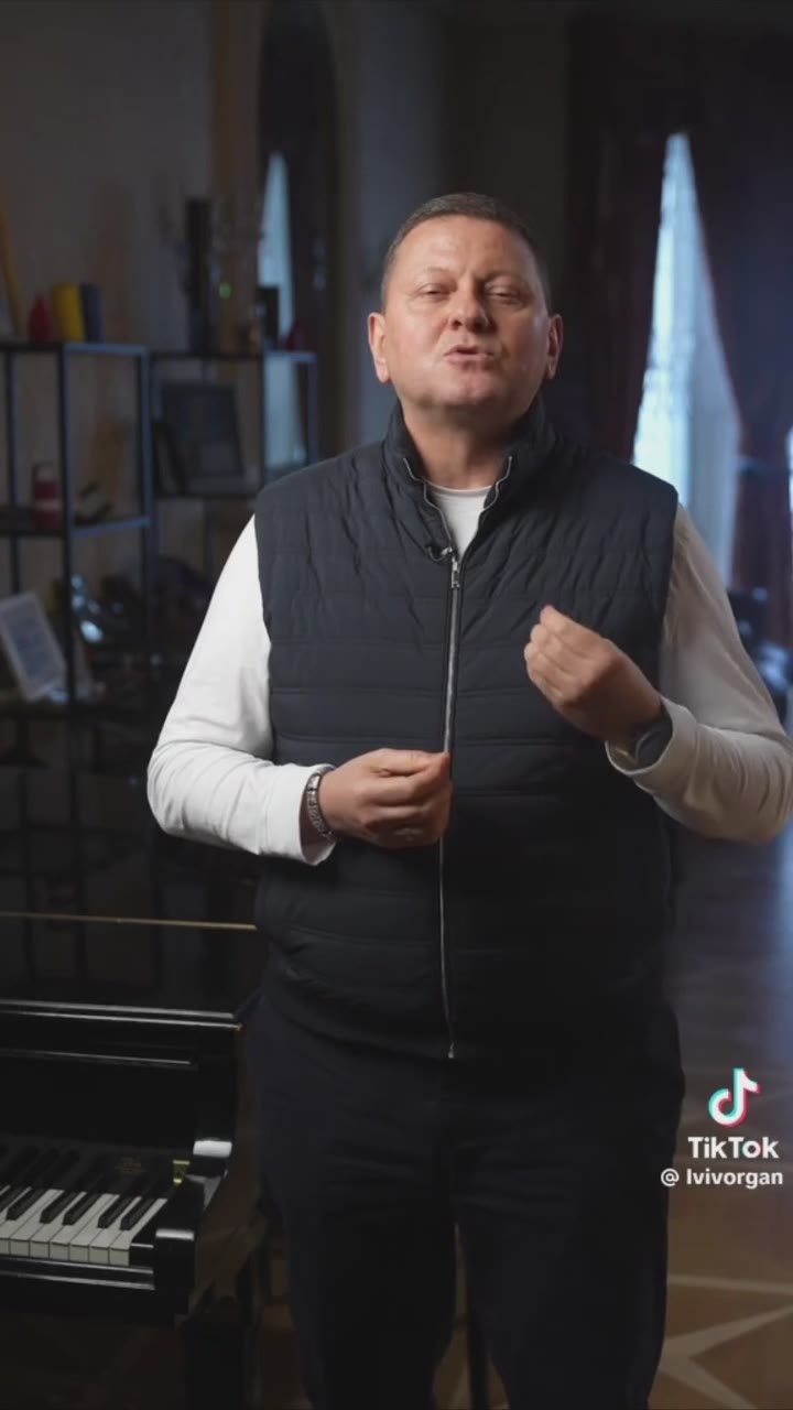 Олег Царёв: Смотрю на Залужного — боже, какой баклажок