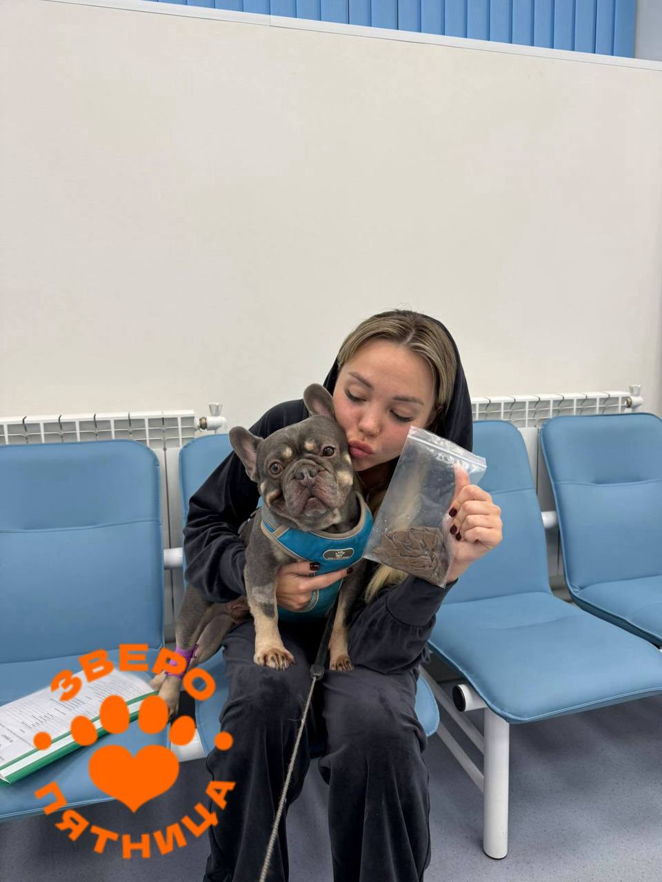 В Петербурге из бульдога достали трусы его хозяйки