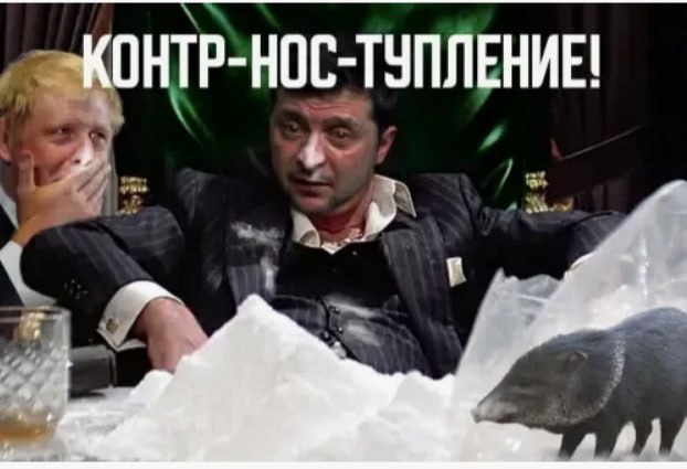 У Зеленского кончился кокс У Зеленского кончился кокс