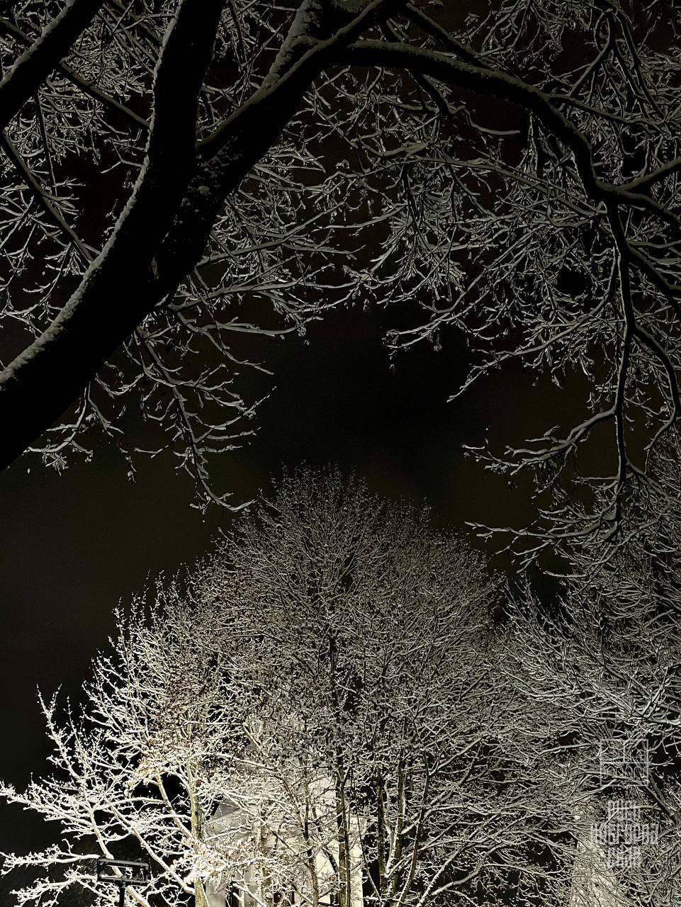 Заснеженный Новгород -. то, что надо вечером понедельника