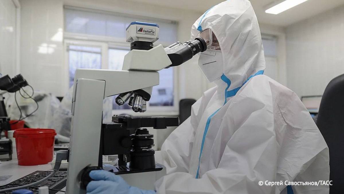 Ученые в Новосибирске, Москве, Санкт-Петербурге и Нижнем Новгороде ведут активные исследования по продлению жизни, сообщила ТАСС замглавы Института медицины и медицинских технологий НГУ Дарья Подчиненова