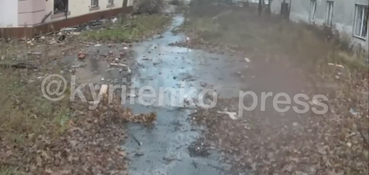 Михаил Онуфриенко: Цитата одной подстилки Зели: