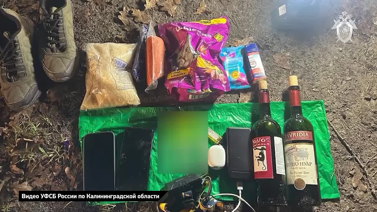 «Я хотел поджечь церковь». 17-летний подросток планировал теракт в православном храме в Калининградской области: он был задержан с поличным