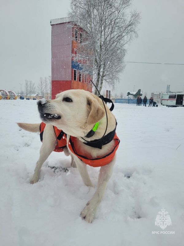 ������� ������� ���� ����� ��� ���� ������ �������� #����������������������� ����