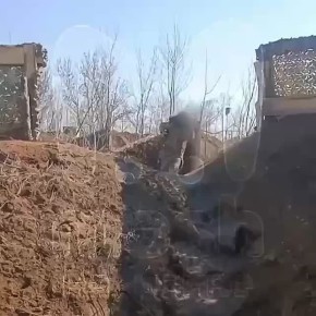 Боец СВО из Ленобласти готов отдать миллион за возвращение кота-спасителя