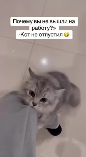 Михаил Онуфриенко: Уважительная причина, согласитесь