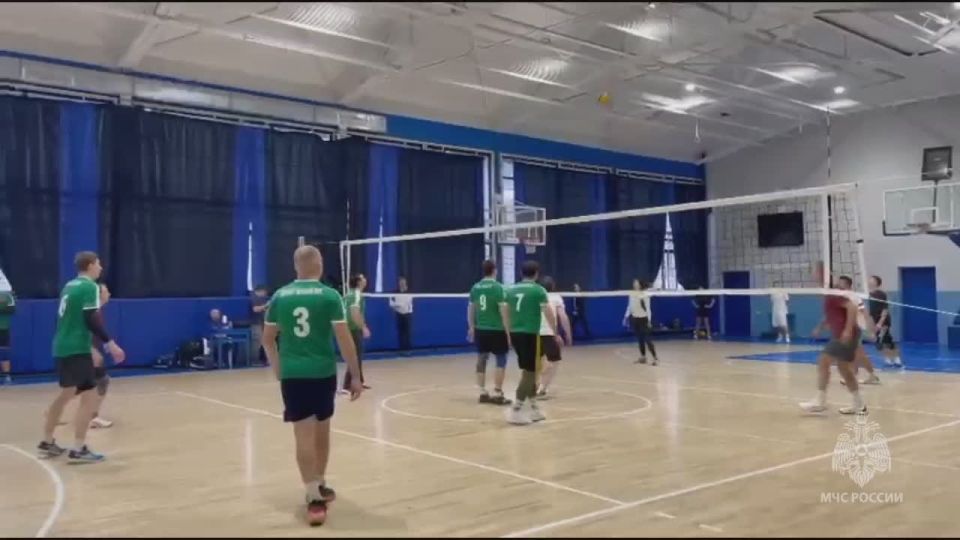 ���������, ������������� ����, ������� ������ � ����������