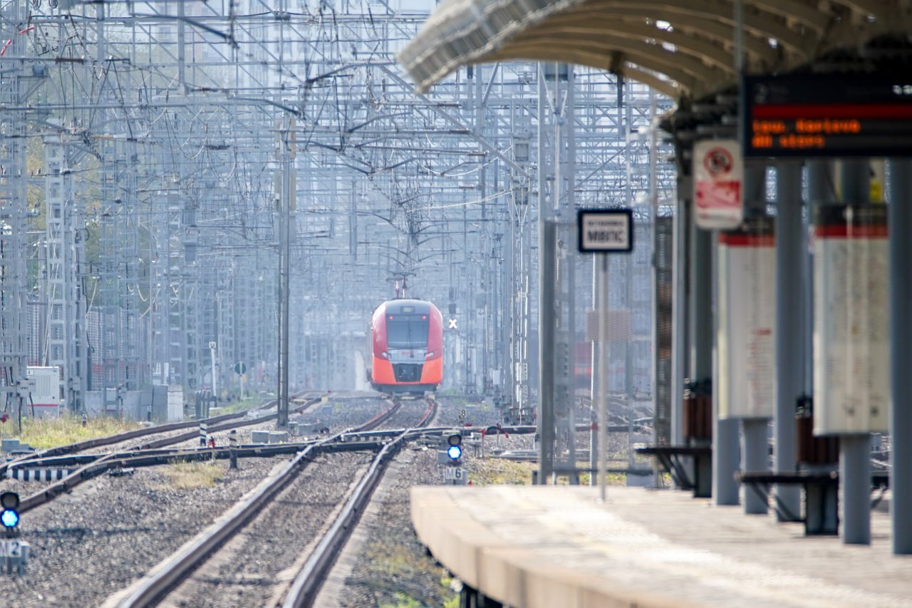 Жительница Ленобласти погибла под колёсами поезда в Парголово