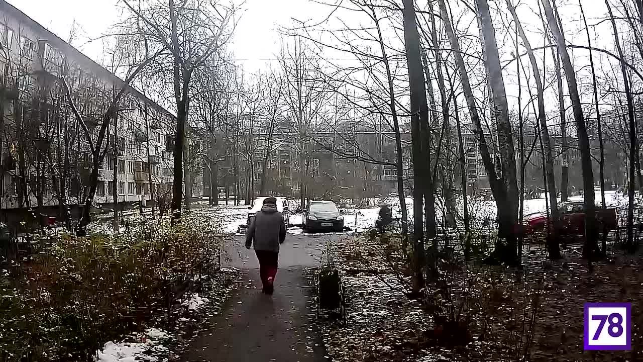 Житель Невского района сбил пенсионерку во дворе — женщина в реанимации с множественными переломами