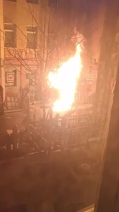 «Двор Нельсона» на Петроградской стороне сожгли — уличного художника спасла собака