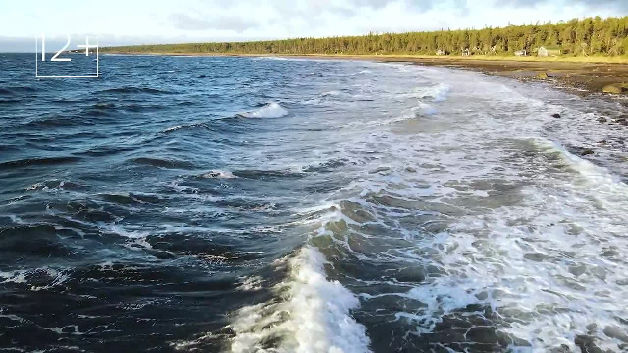 Как гласит народная мудрость, главные вещи в жизни — это не вещи