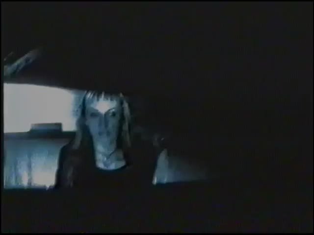 Вечернее музыкальное настроение от ЛенТВ24