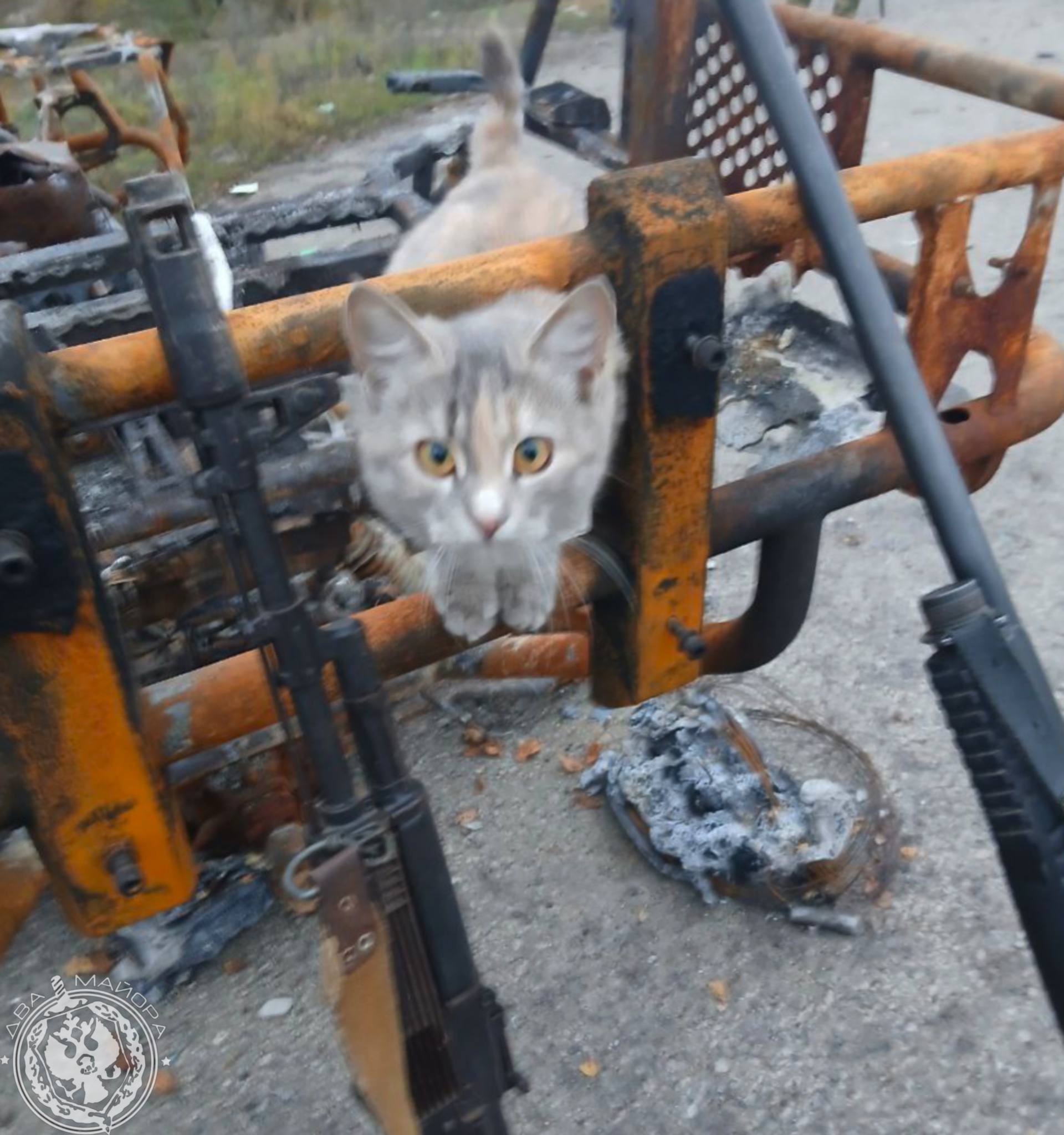 Два майора: Рубрика «Будни солдата» Два майора: Рубрика «Будни солдата»