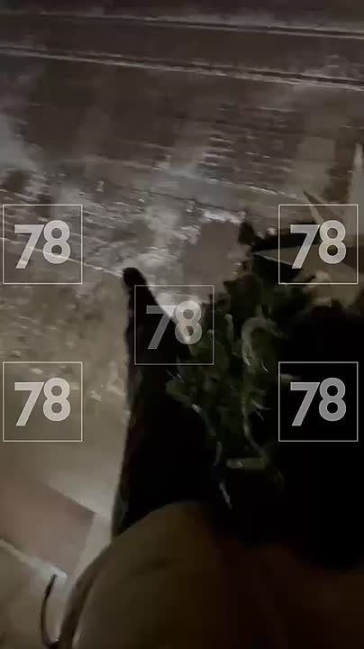 Ёлочные руферы снимали своё восхождение на Московском проспекте