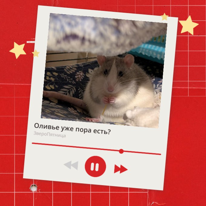 Сегодня последняя пятница перед декабрем — а значит, время решать насущные проблемы почти пришло Сегодня последняя пятница перед декабрем — а значит, время решать насущные проблемы почти пришло