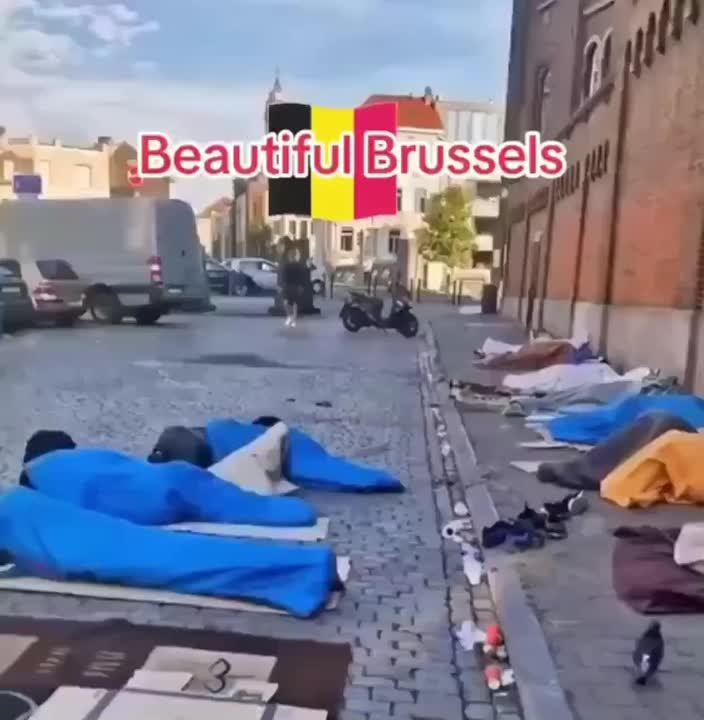 Это сборище из цветных покрывал на асфальте — бельгийские бездомные