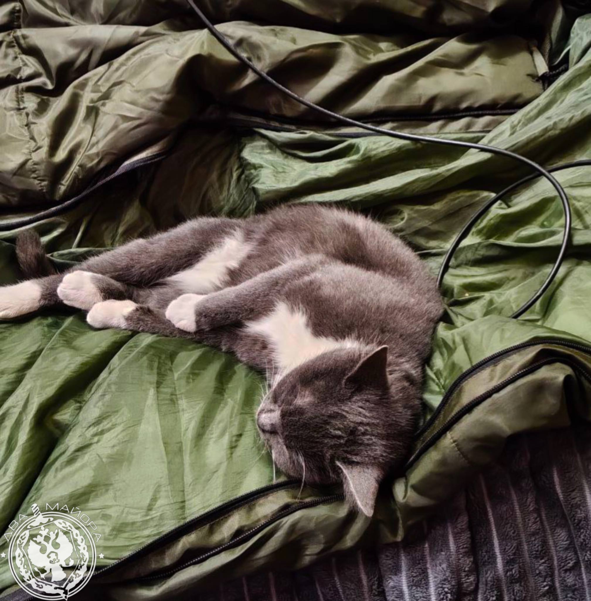 Два майора: Рубрика «Будни солдата» Два майора: Рубрика «Будни солдата»