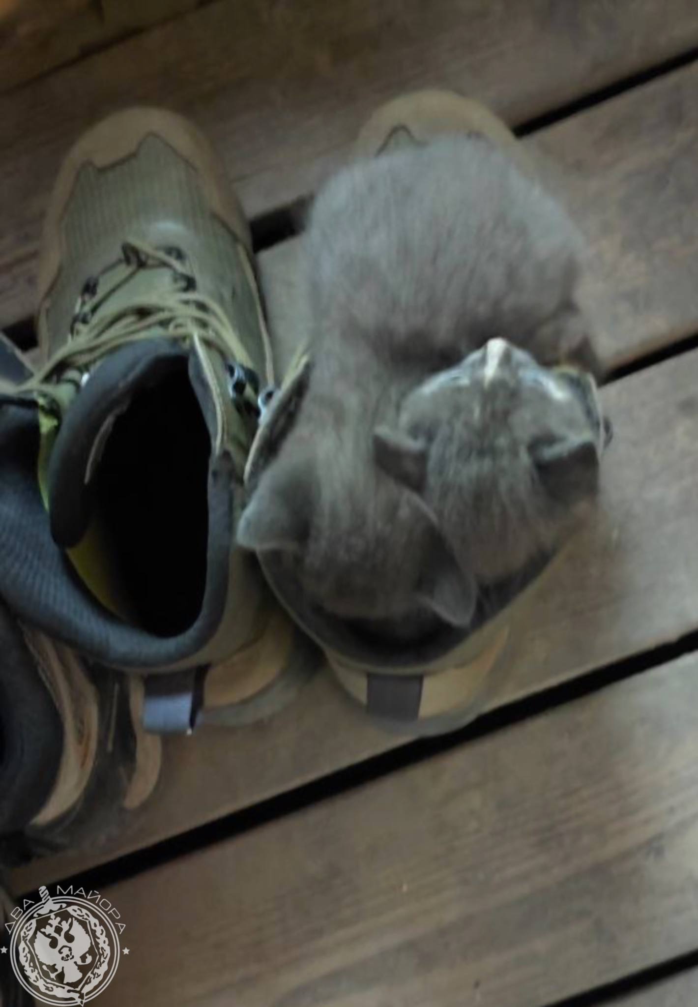 Два майора: Рубрика «Будни солдата» Два майора: Рубрика «Будни солдата»