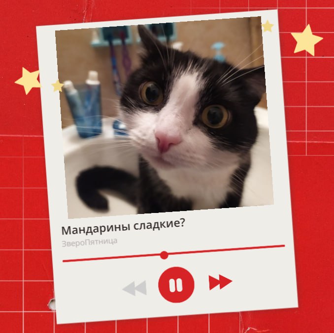 Сегодня последняя пятница перед декабрем — а значит, время решать насущные проблемы почти пришло Сегодня последняя пятница перед декабрем — а значит, время решать насущные проблемы почти пришло