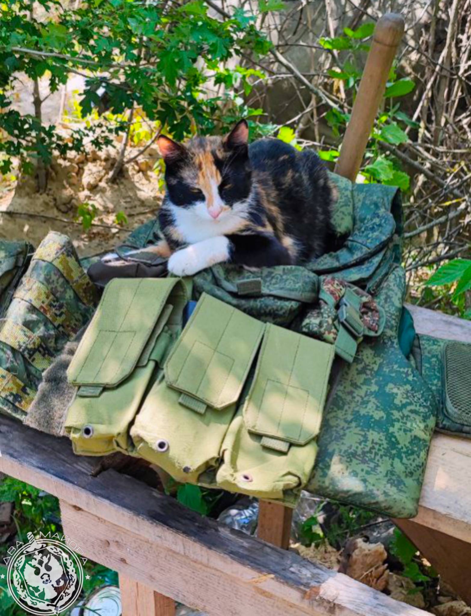 Два майора: Рубрика «Будни солдата» Два майора: Рубрика «Будни солдата»