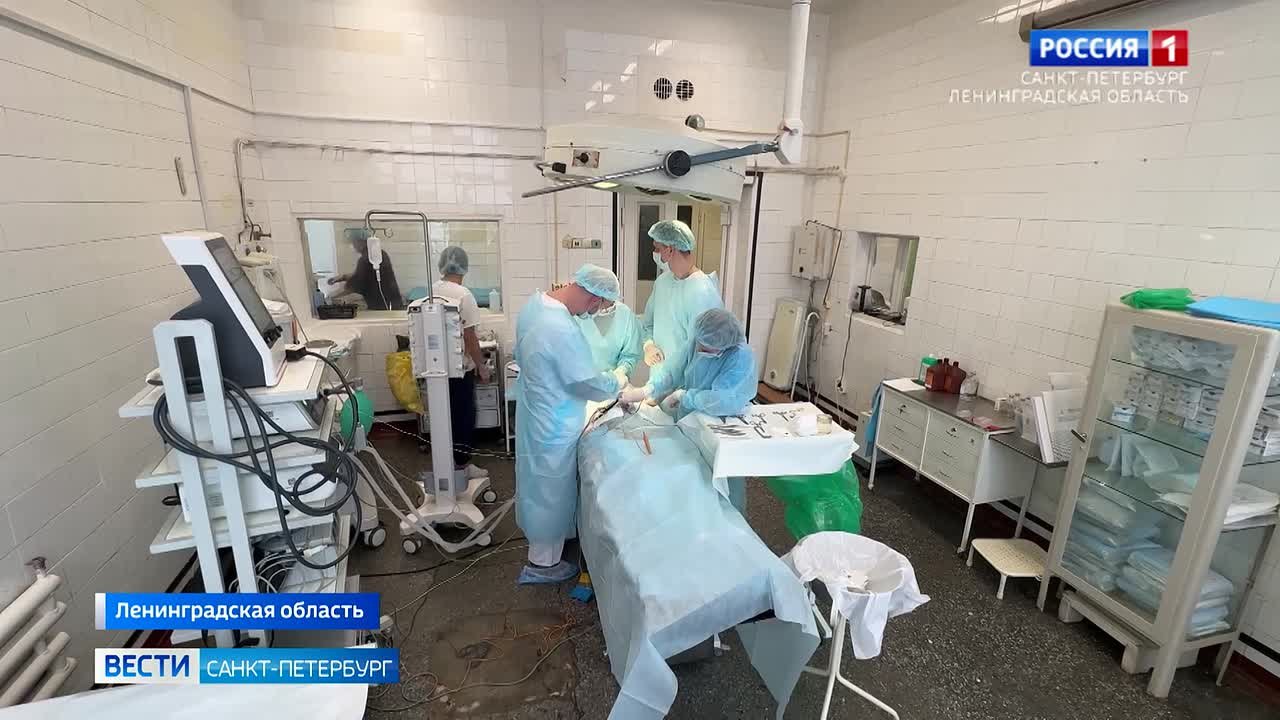 В Гатчинской больнице начали оперировать сложных больных, находящихся на диализе