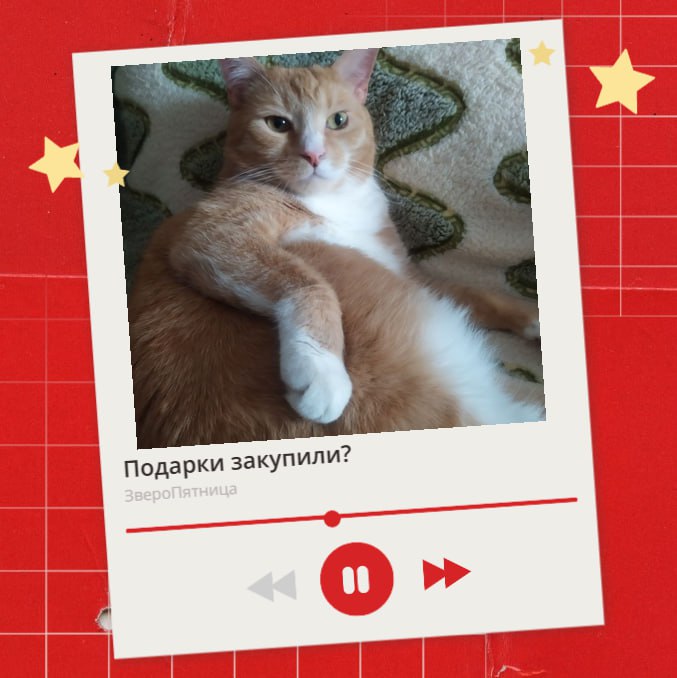 Сегодня последняя пятница перед декабрем — а значит, время решать насущные проблемы почти пришло Сегодня последняя пятница перед декабрем — а значит, время решать насущные проблемы почти пришло