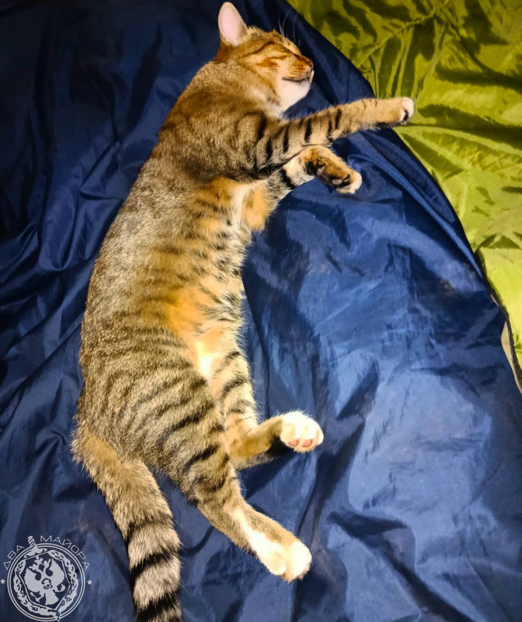 Два майора: Рубрика «Будни солдата» Два майора: Рубрика «Будни солдата»