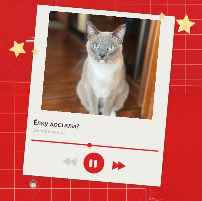 Сегодня последняя пятница перед декабрем — а значит, время решать насущные проблемы почти пришло