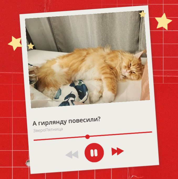 Сегодня последняя пятница перед декабрем — а значит, время решать насущные проблемы почти пришло Сегодня последняя пятница перед декабрем — а значит, время решать насущные проблемы почти пришло