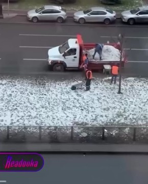 Коммунальщики в Питере посыпают солью газон, чтобы победить гололед при +3 градусах