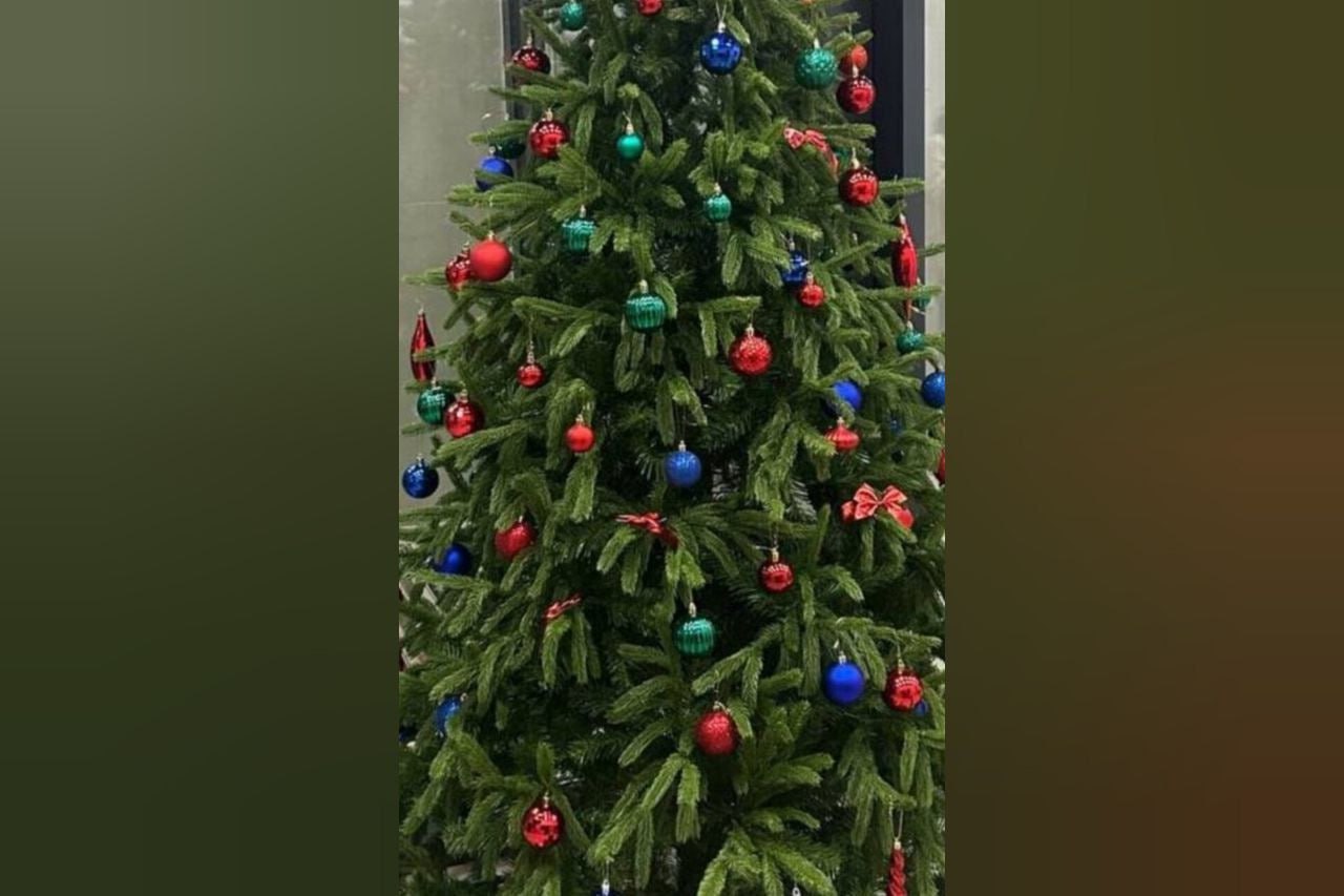 Совсем не новогодняя история: Ёлка – харам, надо убрать? Совсем не новогодняя история: Ёлка – харам, надо убрать?