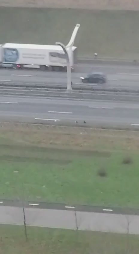 Толпа детей перебегала ЗСД на Васильевском острове