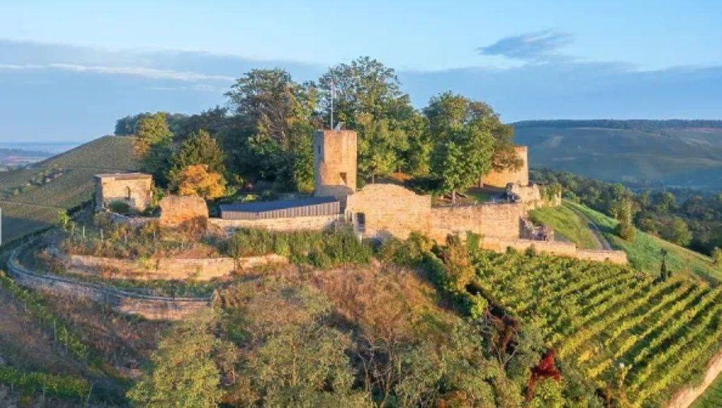 Олег Царёв: Про верных жён. XII век, Германия, Вельфы и Гогенштауфены бьются за власть