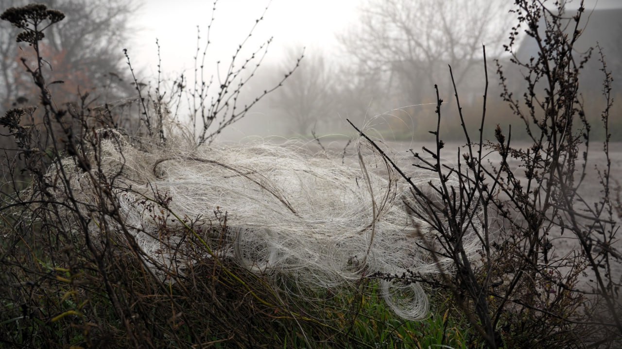 Заваленная "оптикой" местность в районе Орехова