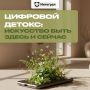 Мы живём в мире, где гаджеты стали главным инструментом для работы, общения, шоппинга и даже отдыха