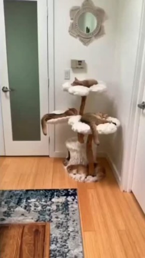 Михаил Онуфриенко: Ко сну - всегда котоф!. @Mikle1On