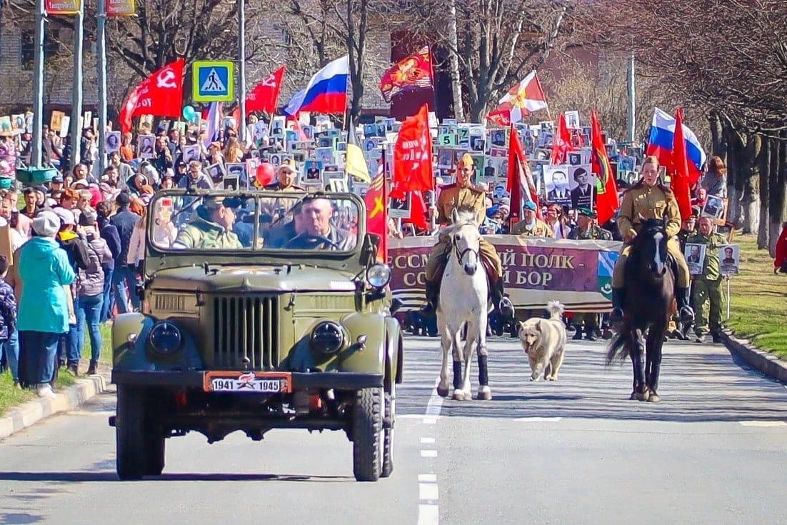 В Сосновом Бору умер знаменитый пес Кефир В Сосновом Бору умер знаменитый пес Кефир
