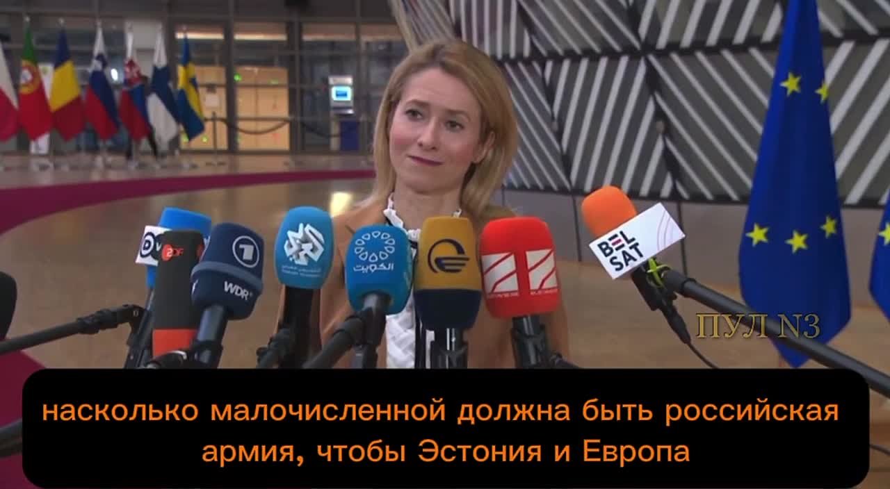 Юлия Витязева: Я отнюдь не дедушка Фрейд, но здесь явно чувствуются нездоровые фантазии и сексуальная неудовлетворенность