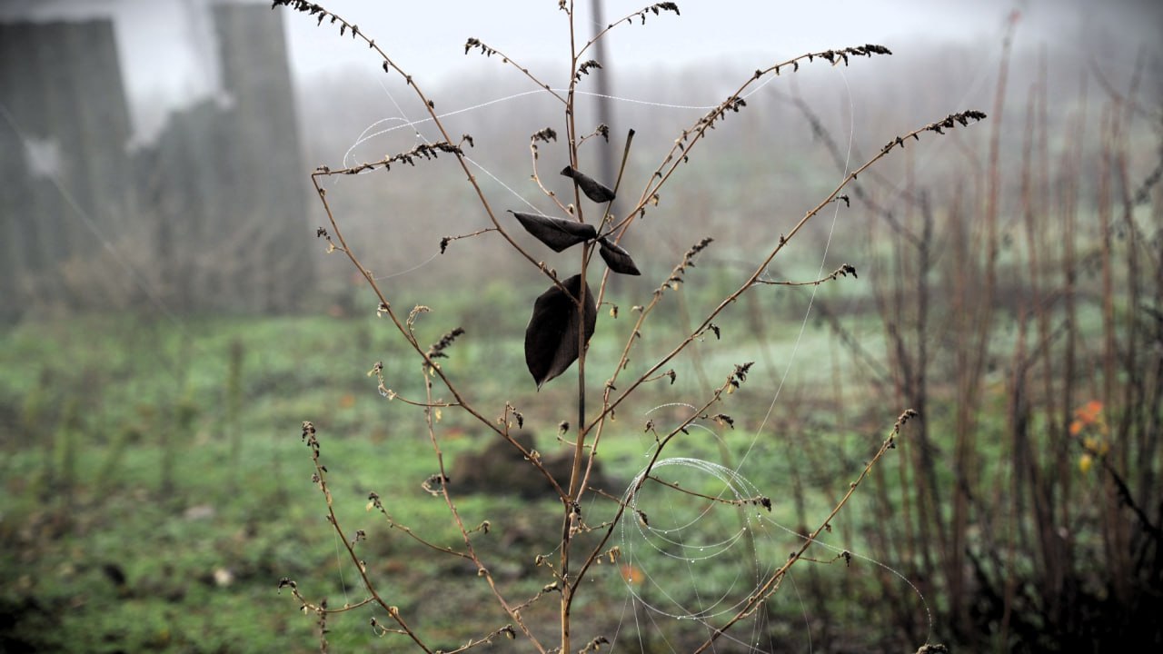 Заваленная "оптикой" местность в районе Орехова Заваленная "оптикой" местность в районе Орехова