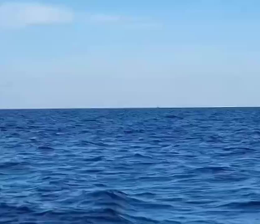 Александр Коц: Румыны уничтожили украинский морской дрон