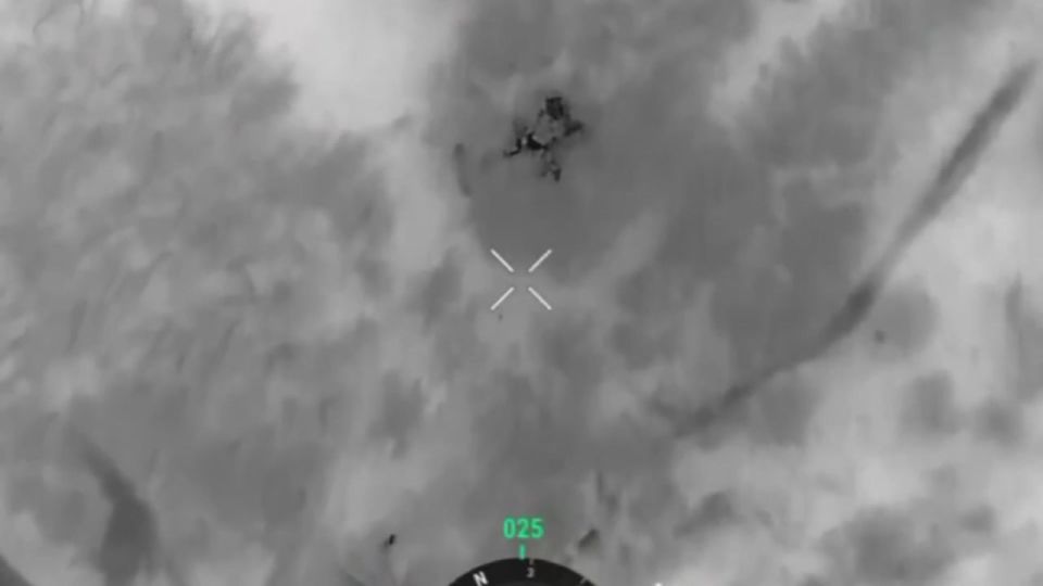 ��������� ���: ��� ����� ����������. �����