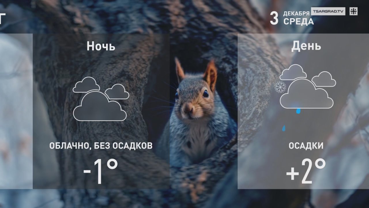 ДЕКАБРЬСКОЕ УТРО. На небе месяц - и ночная